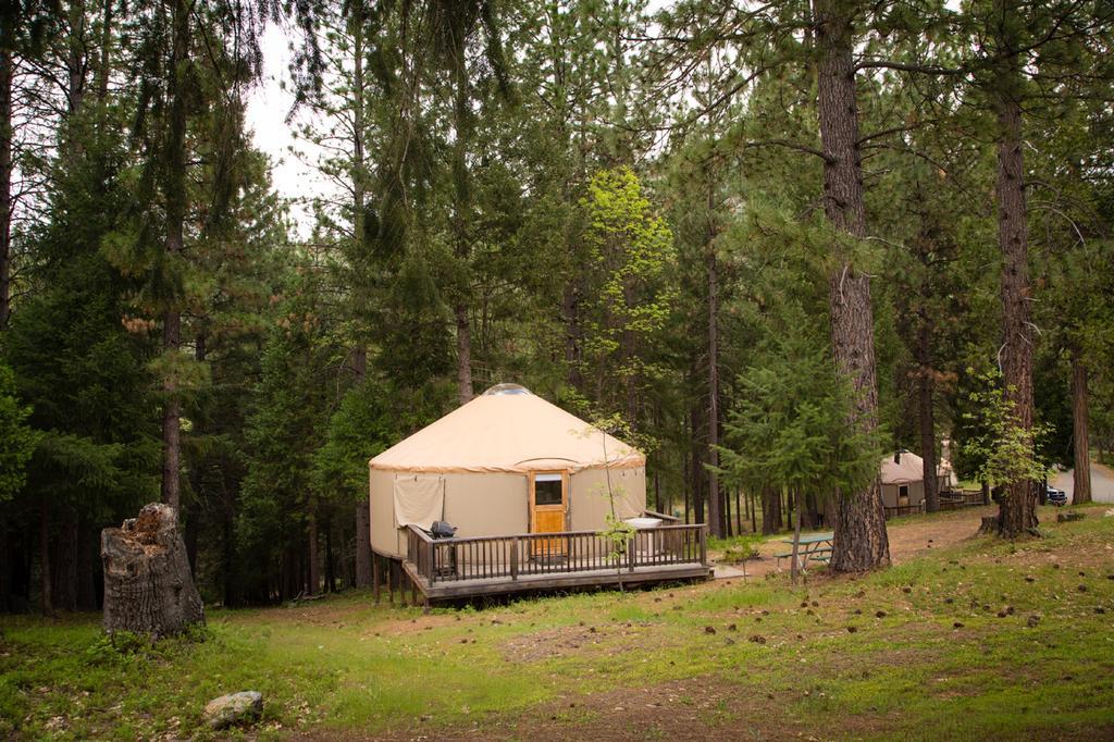 Yosemite Lakes Hillside Yurt 1 Harden Flat Exterior foto
